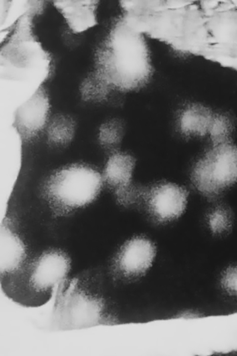 A Constellation of 6 Super 8 Films (1991 – 2010) poster background