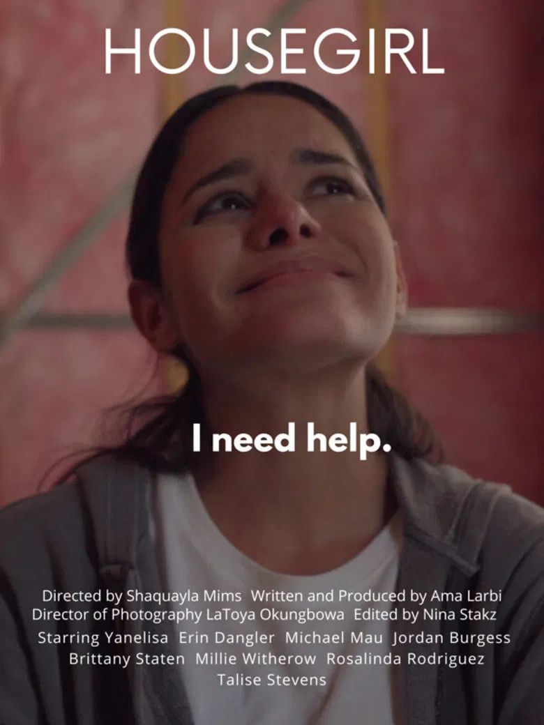 Housegirl poster background