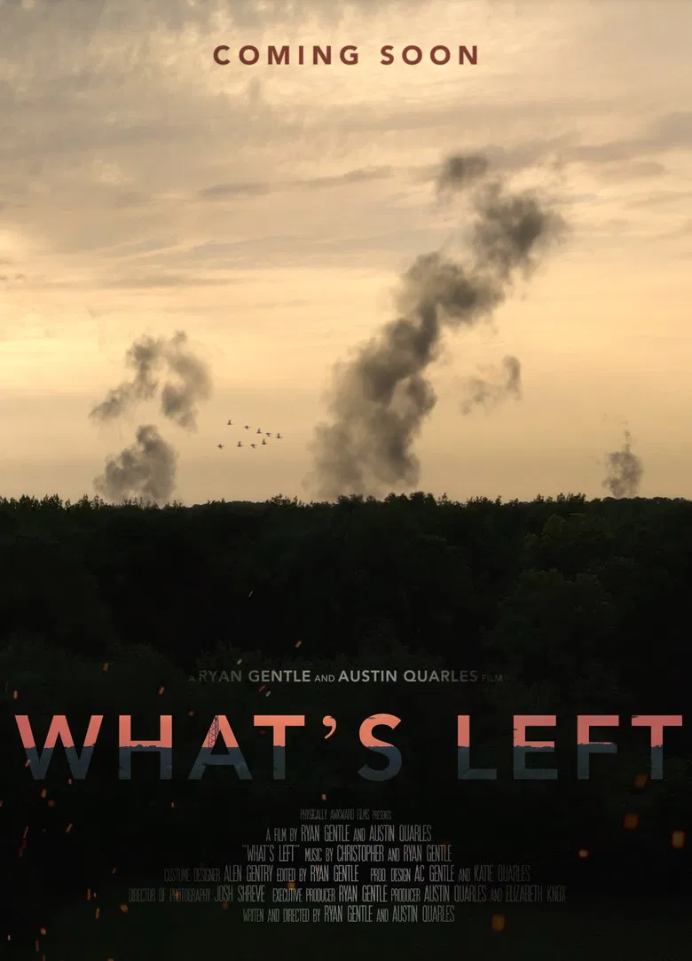 What's Left poster background