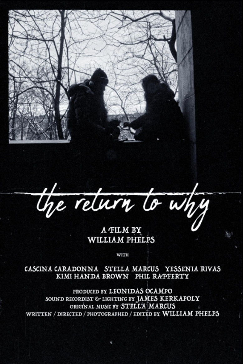 The Return to Why poster background