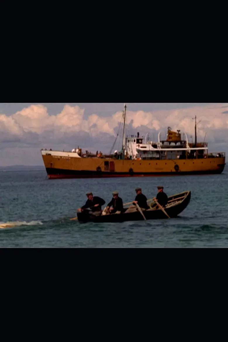 Pobal poster background