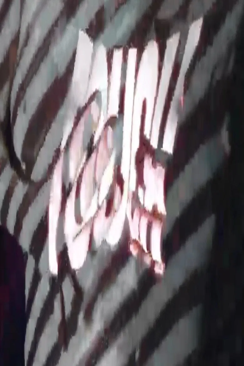 Intemerata poster background