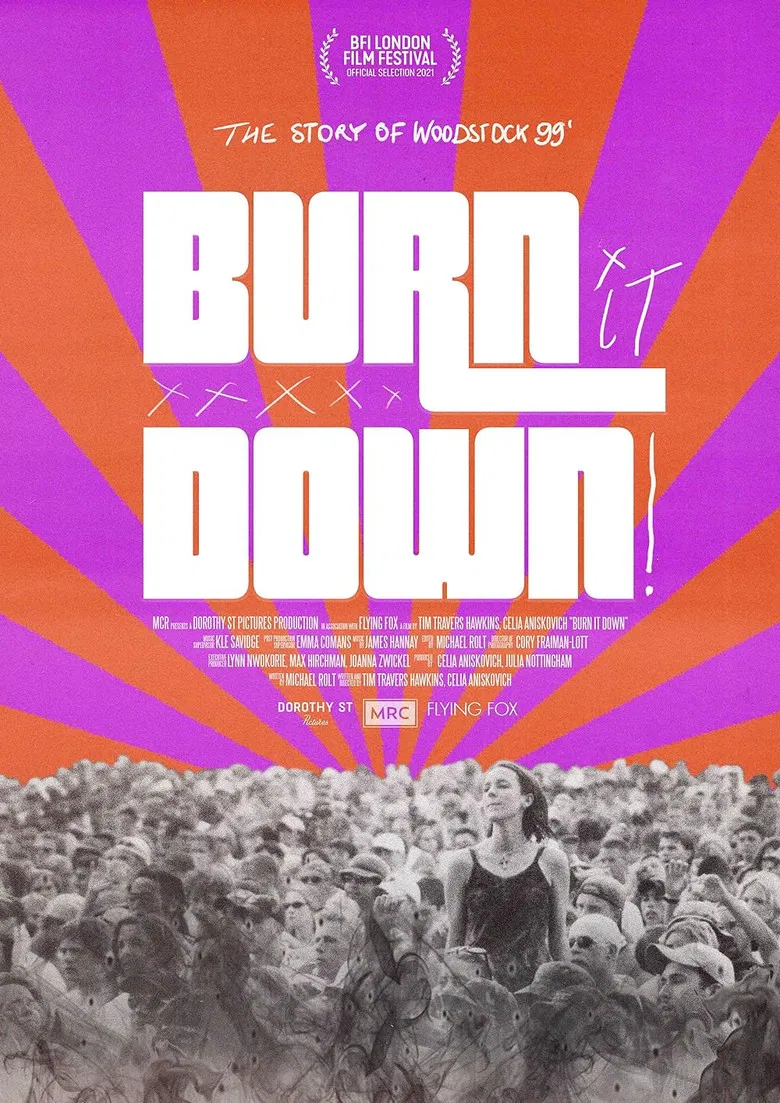 BURN IT DOWN! poster background
