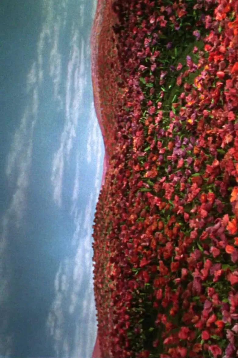 Insomnio doméstico poster background