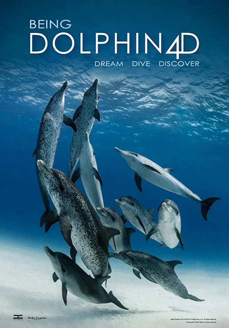 Being Dolphin 4D poster background