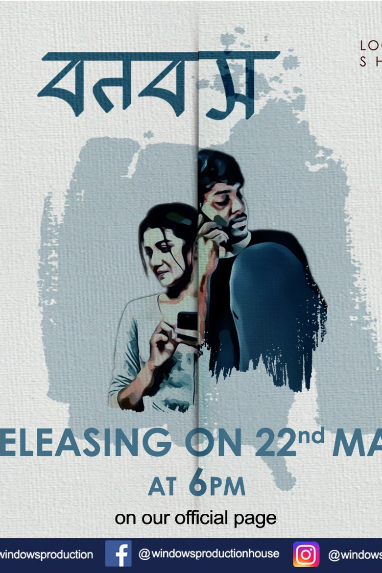 Bonobas poster background