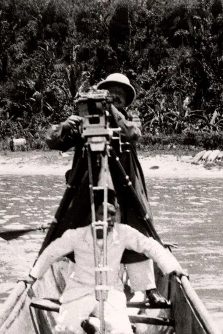 Inlandsche Bedrijven poster background