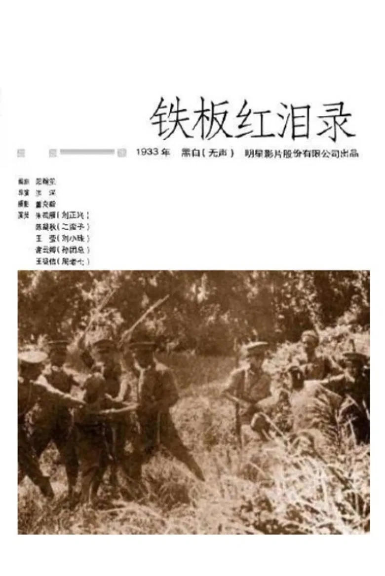 铁板红泪录 poster background
