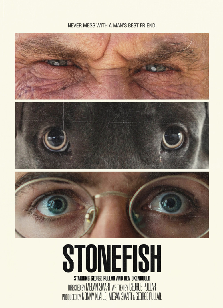 Stonefish poster background