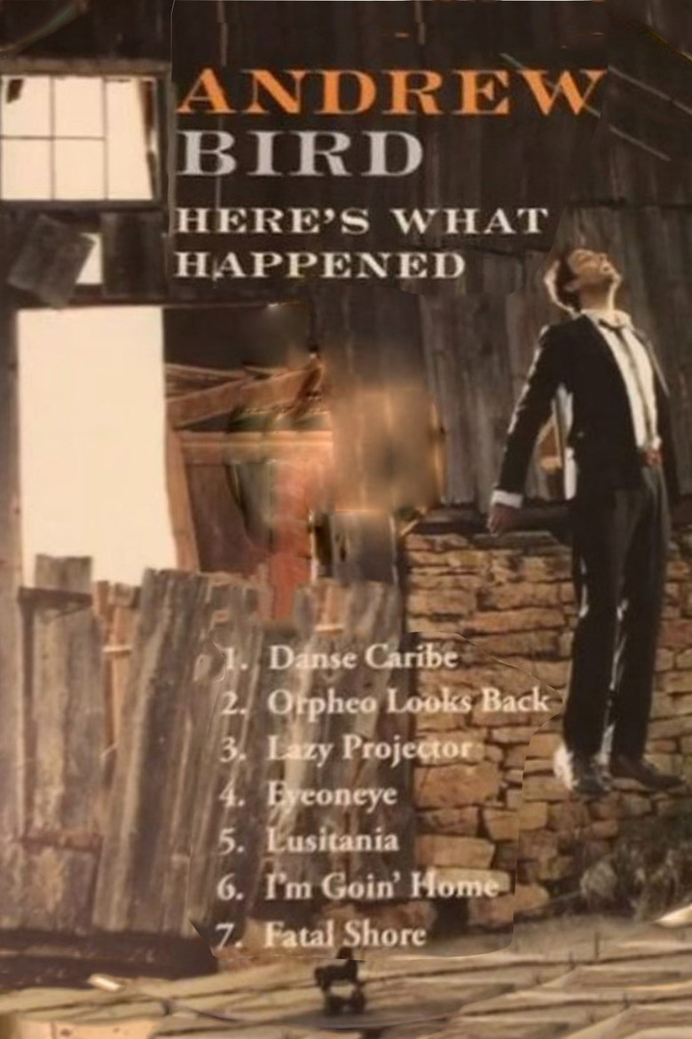 Andrew Bird: Here's What Happened poster background