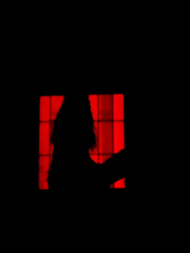 Zautoritratto poster background