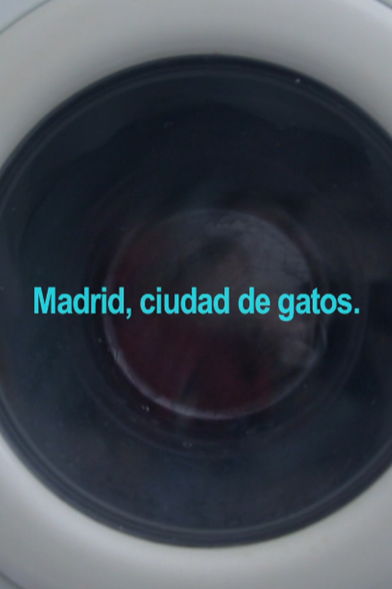 Madrid, City of Cats poster background