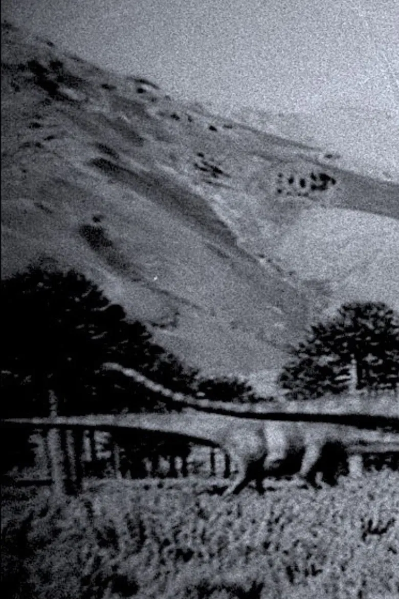 Notes from the Anthropocene poster background