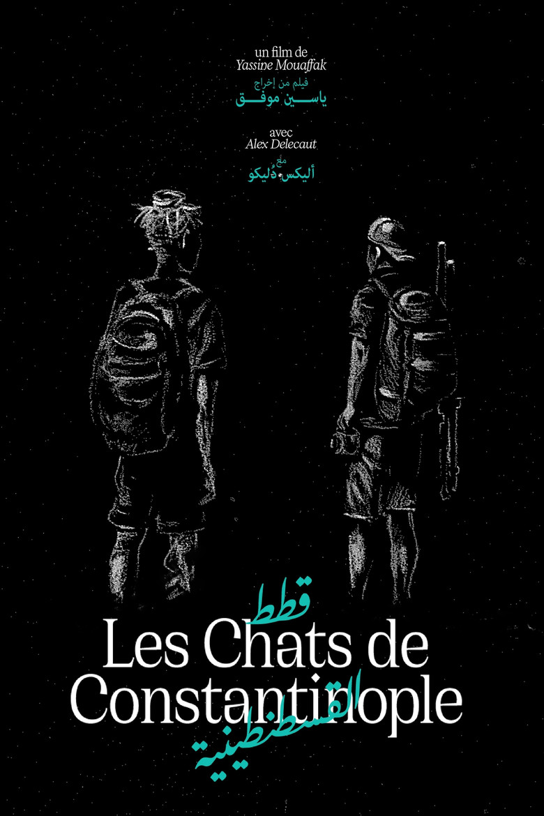 Les Chats de Constantinople poster background