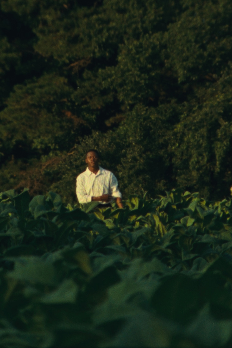 JESUS IS COMING (to take the Church away) poster background