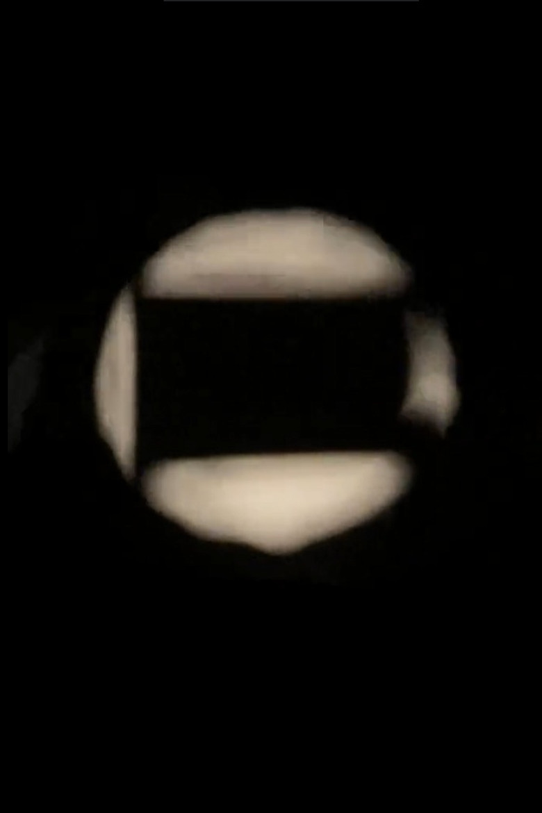 Maya poster background