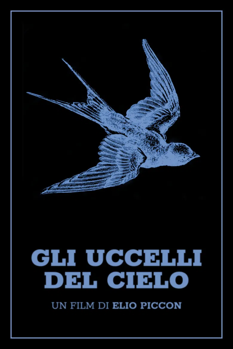 Gli uccelli del cielo poster background