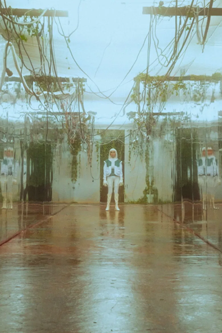 Fossilis poster background