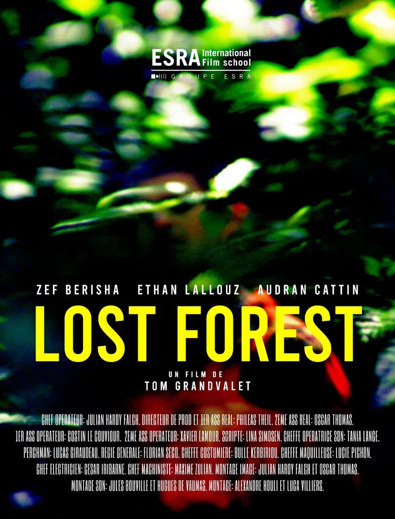 Lost Forest poster background