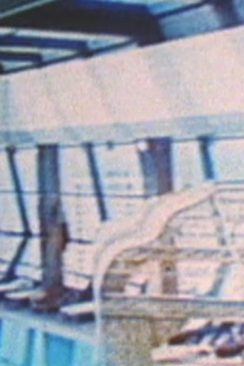 Metronome poster background