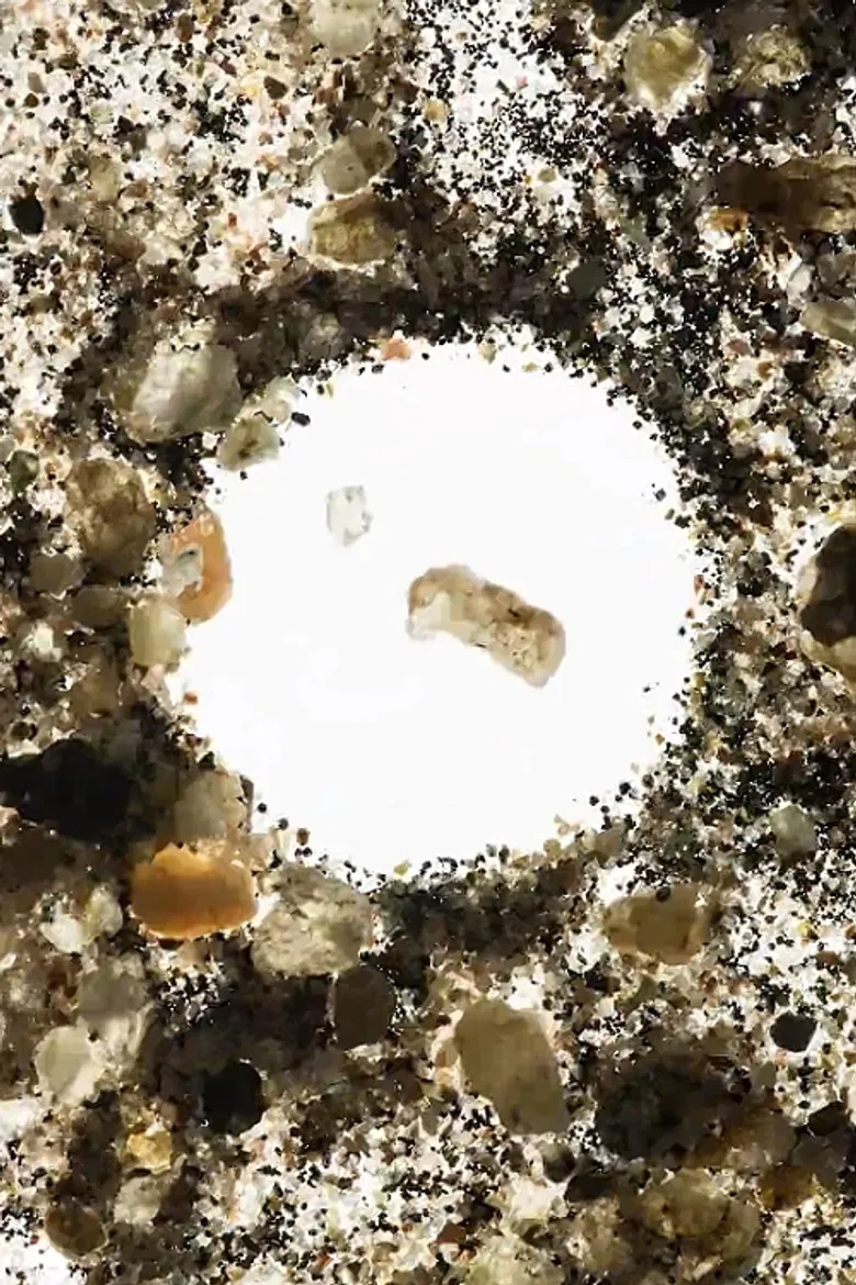 Coyote poster background