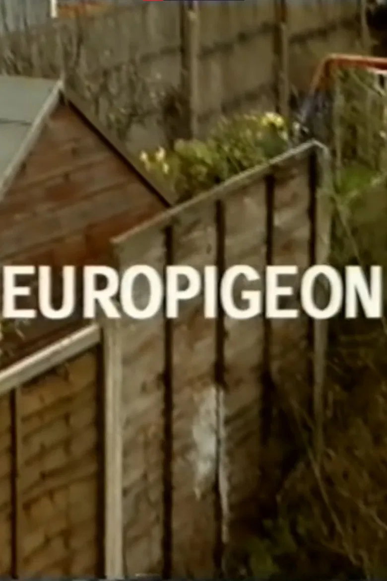 Europigeon poster background