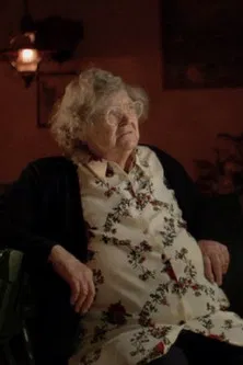 80.000 Schnitzel poster background