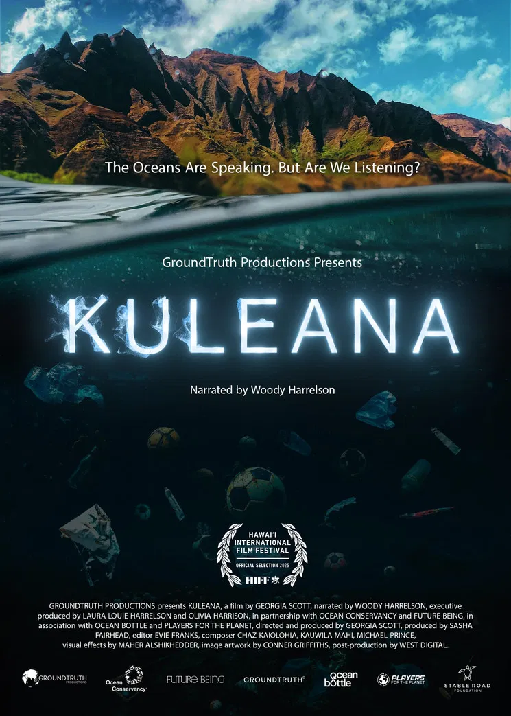 Kuleana poster background