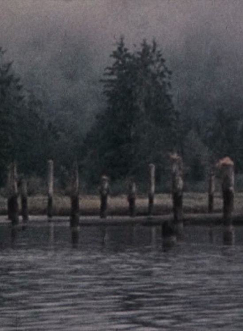 Narrows Inlet poster background