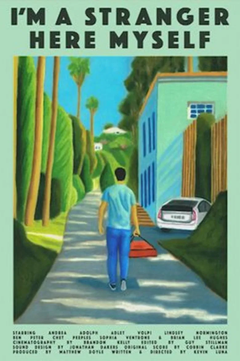 I'm a Stranger Here Myself poster background