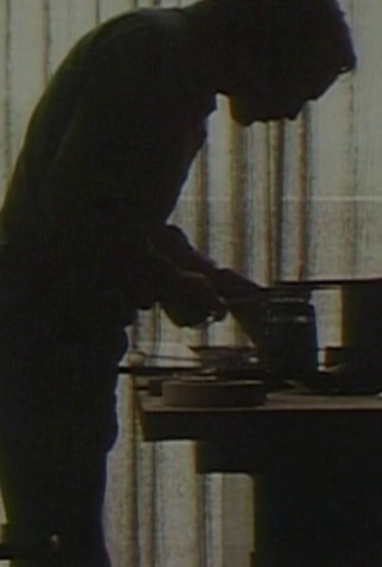 Moving Pictures: The Art of Jan Lenica poster background