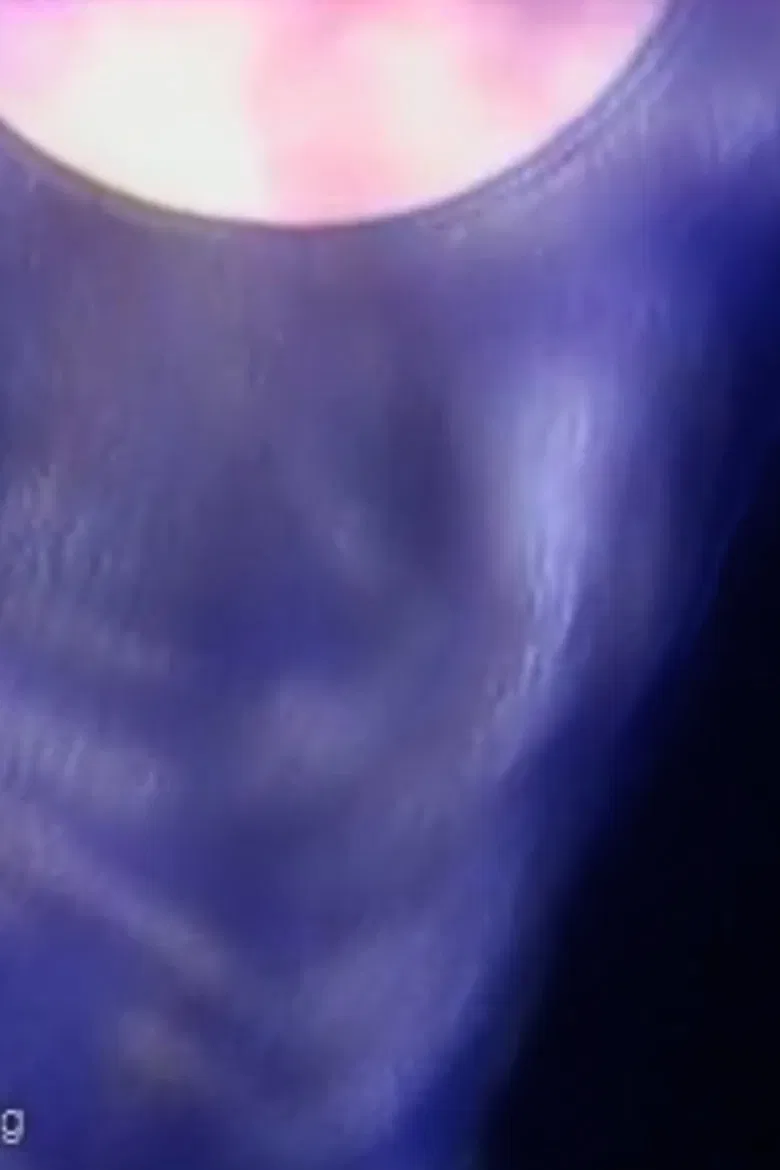 In the blink of an eye...(amphibian dreams)..."If I could fly I would fly" poster background