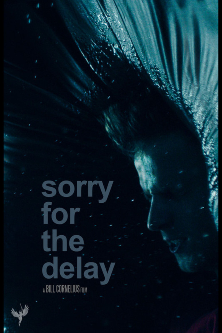 Sorry for the Delay poster background