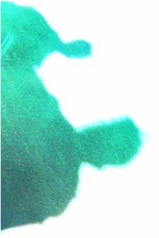 Le revenant poster background