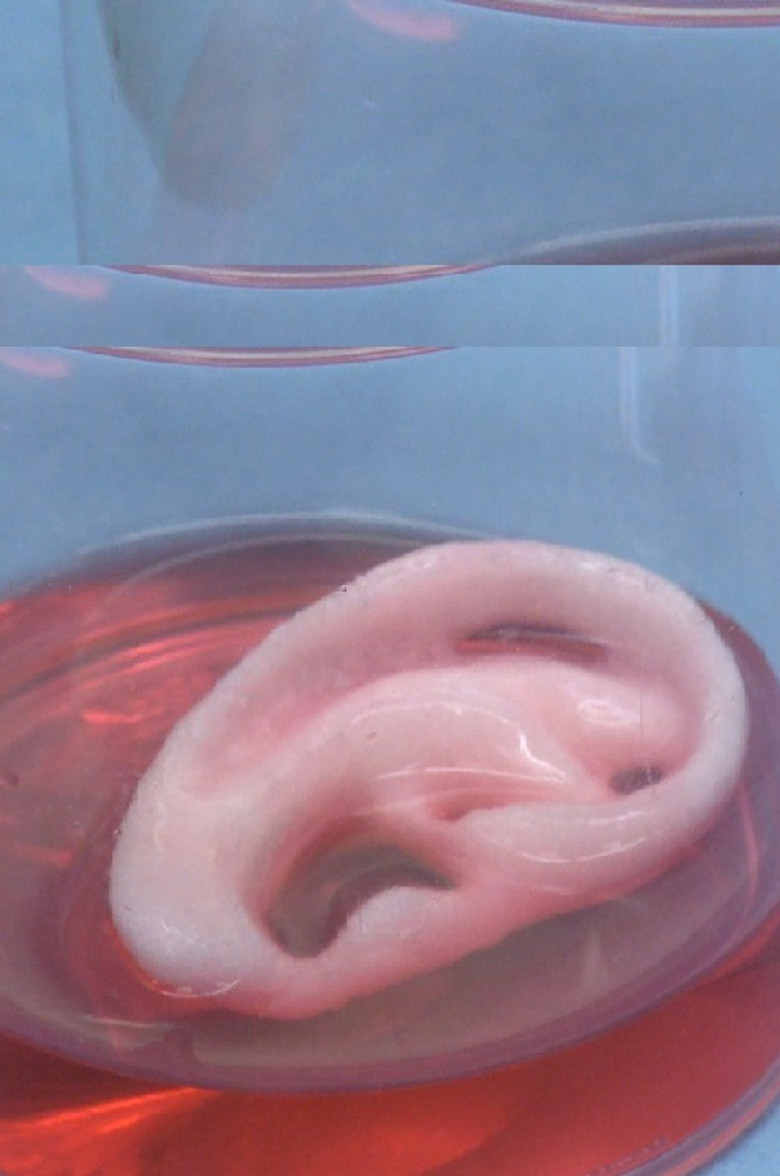 time/ OUT OF JOINT poster background