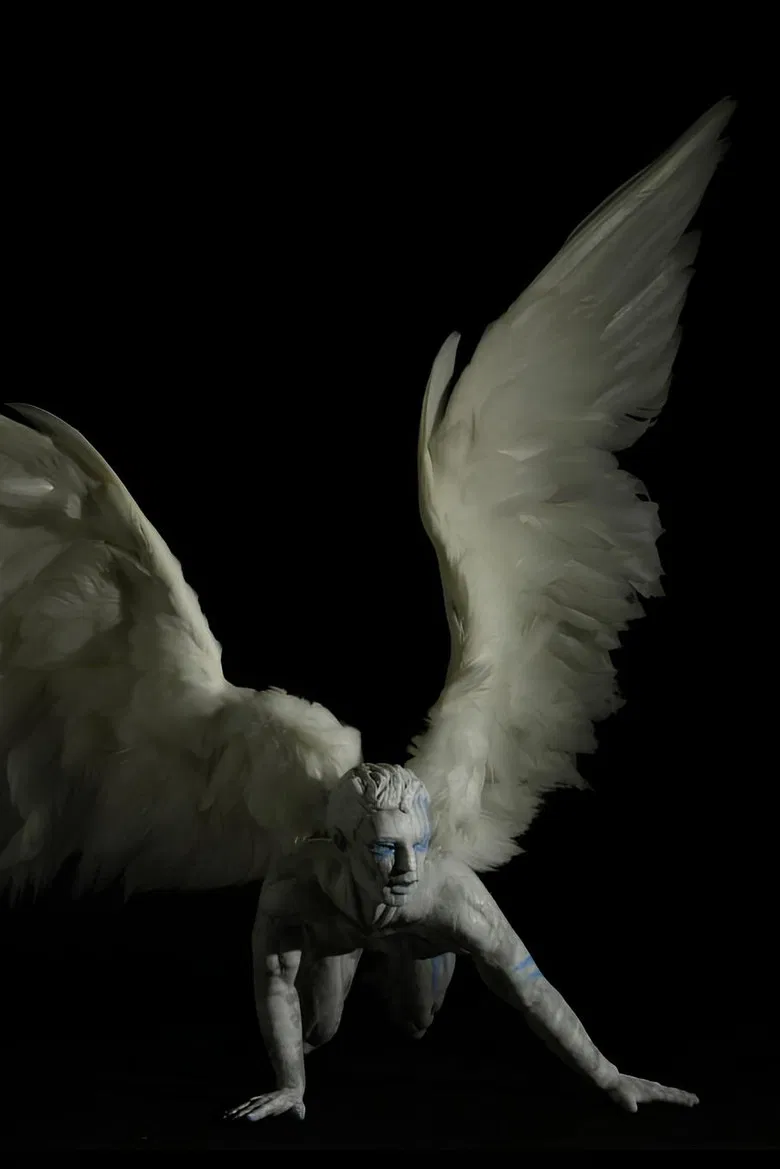 Plume poster background