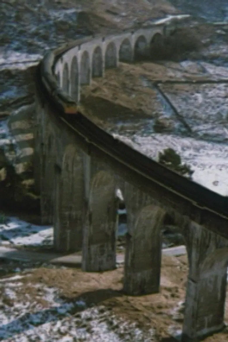 A Line for All Seasons poster background