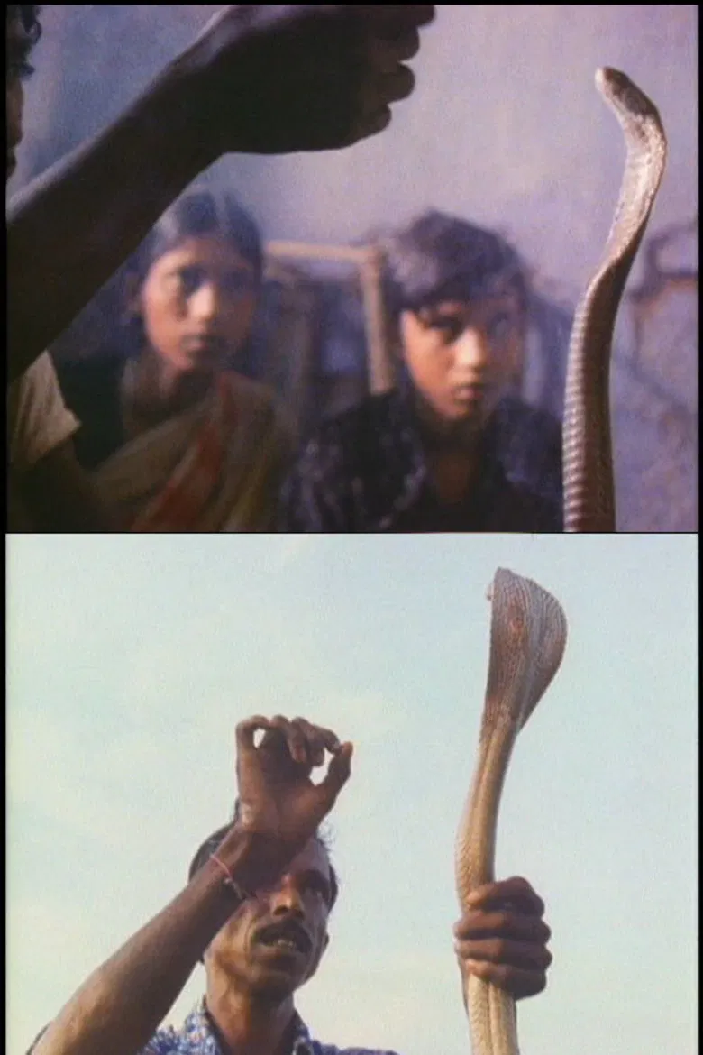 Serpent Mother poster background