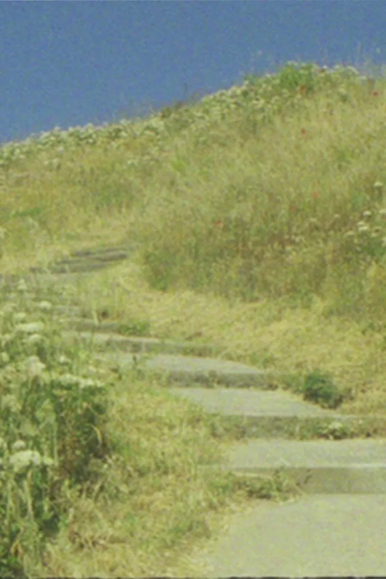 The seagull... and the glory of God poster background