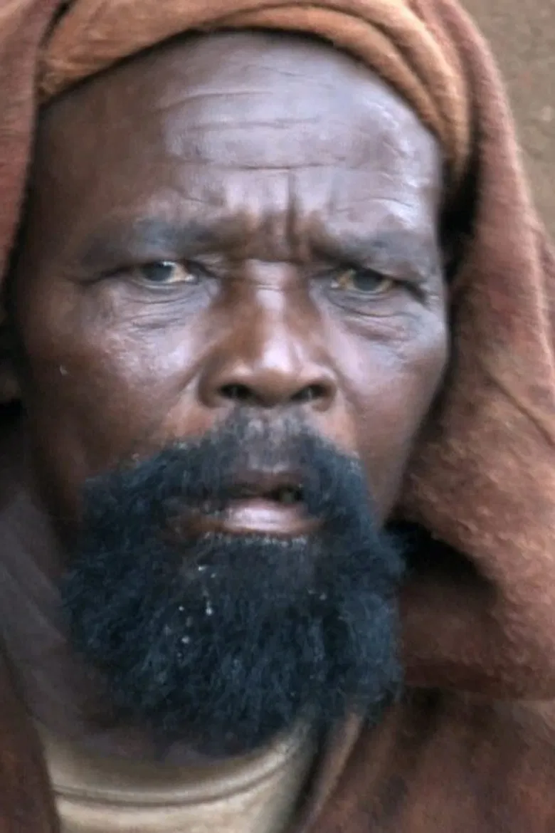 Children of the Pale Fox poster background