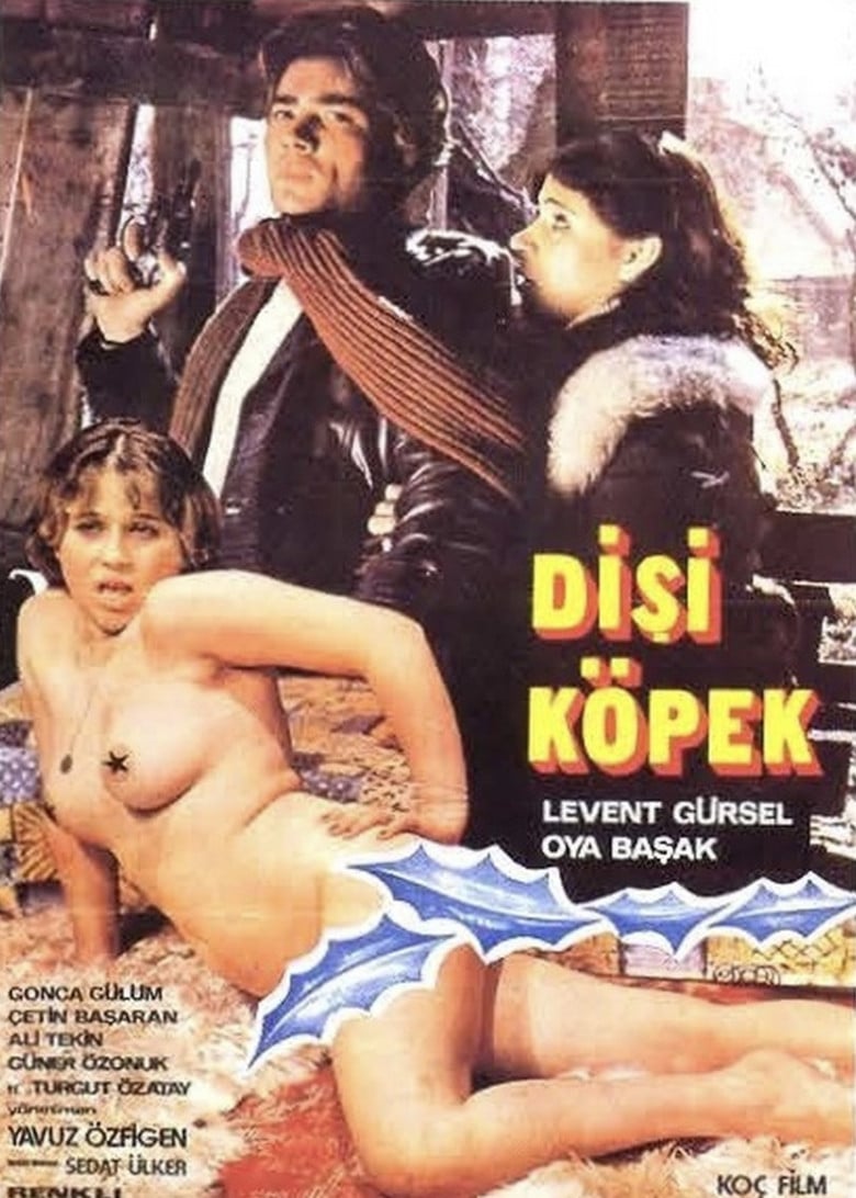 Dişi Köpek poster background