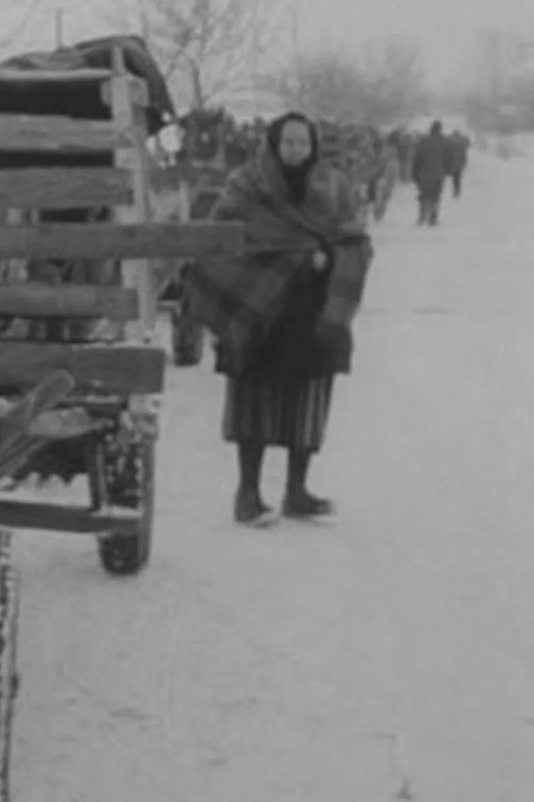 90 Days a Year poster background