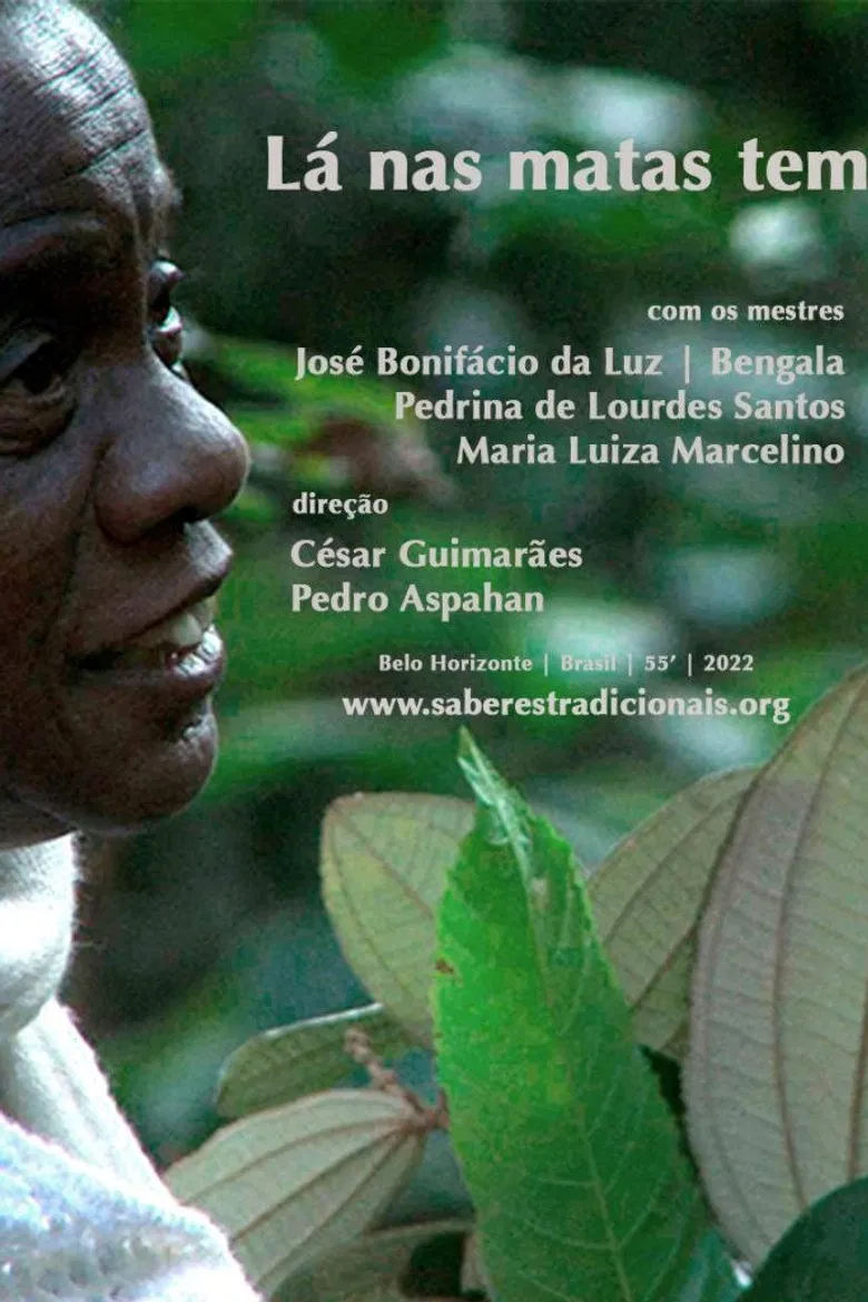 Lá nas Matas Tem poster background