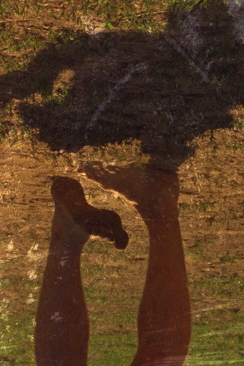 Orange Trill poster background