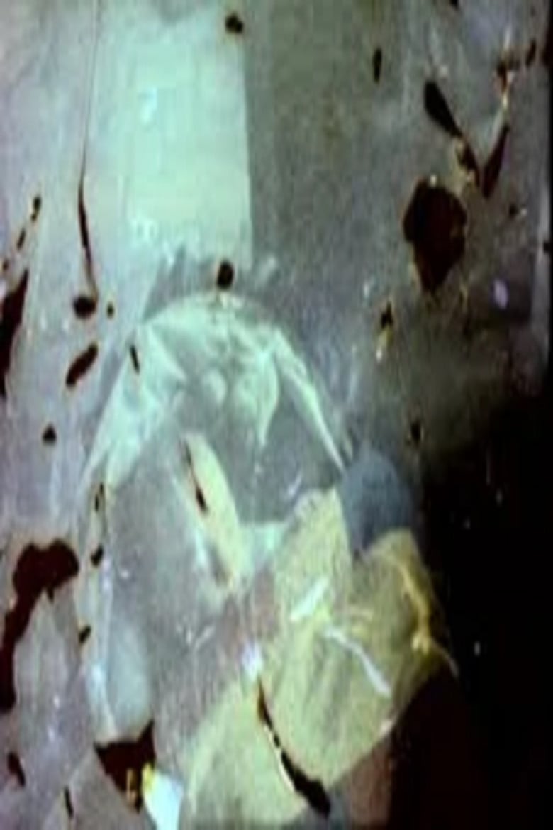 Fall U.S. poster background