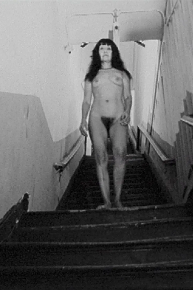 Nude Decending the Stairs poster background
