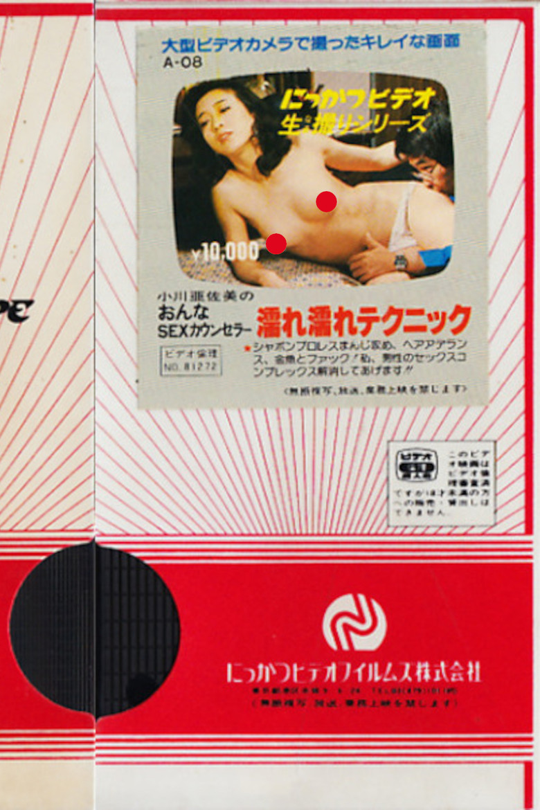 Asami Ogawa: Female SEX Counselor, Wet Technique poster background