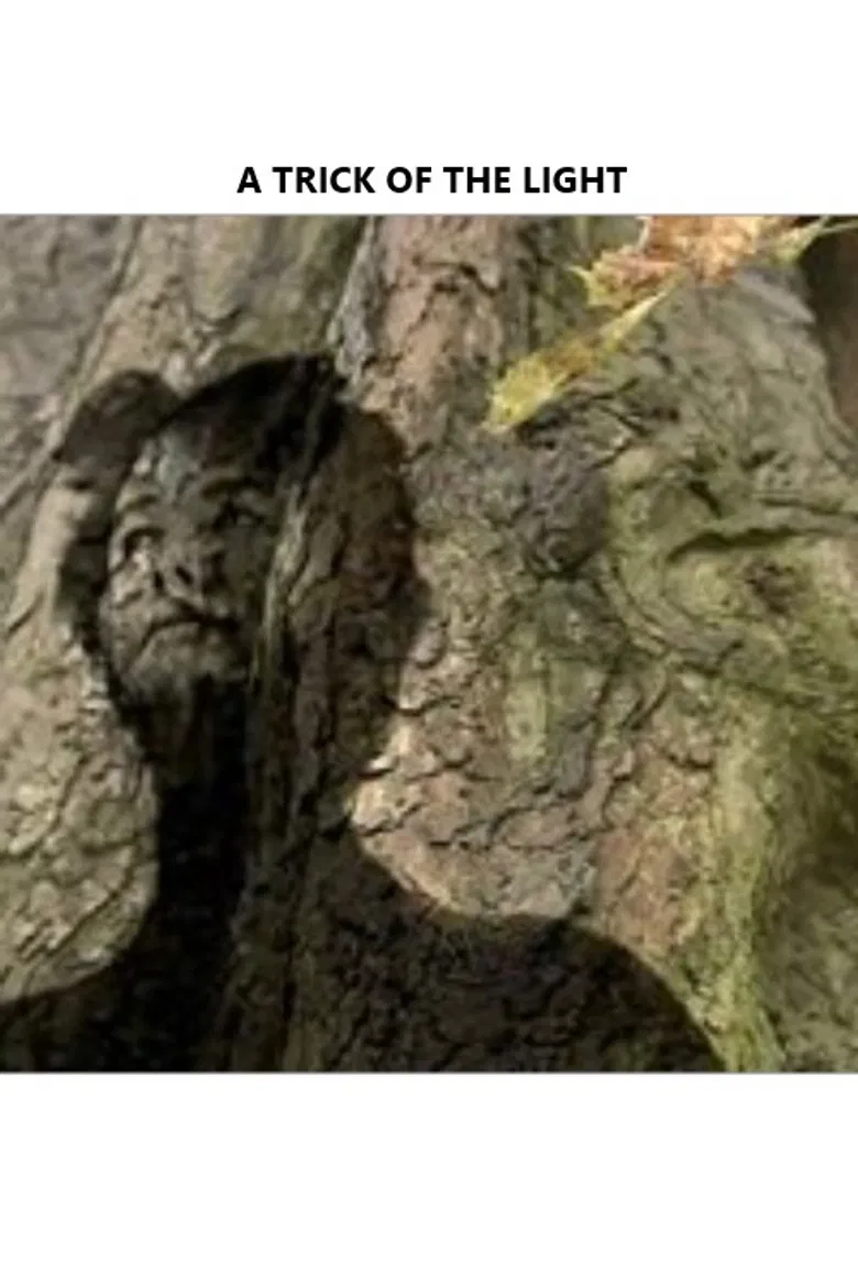 A Trick of the Light poster background