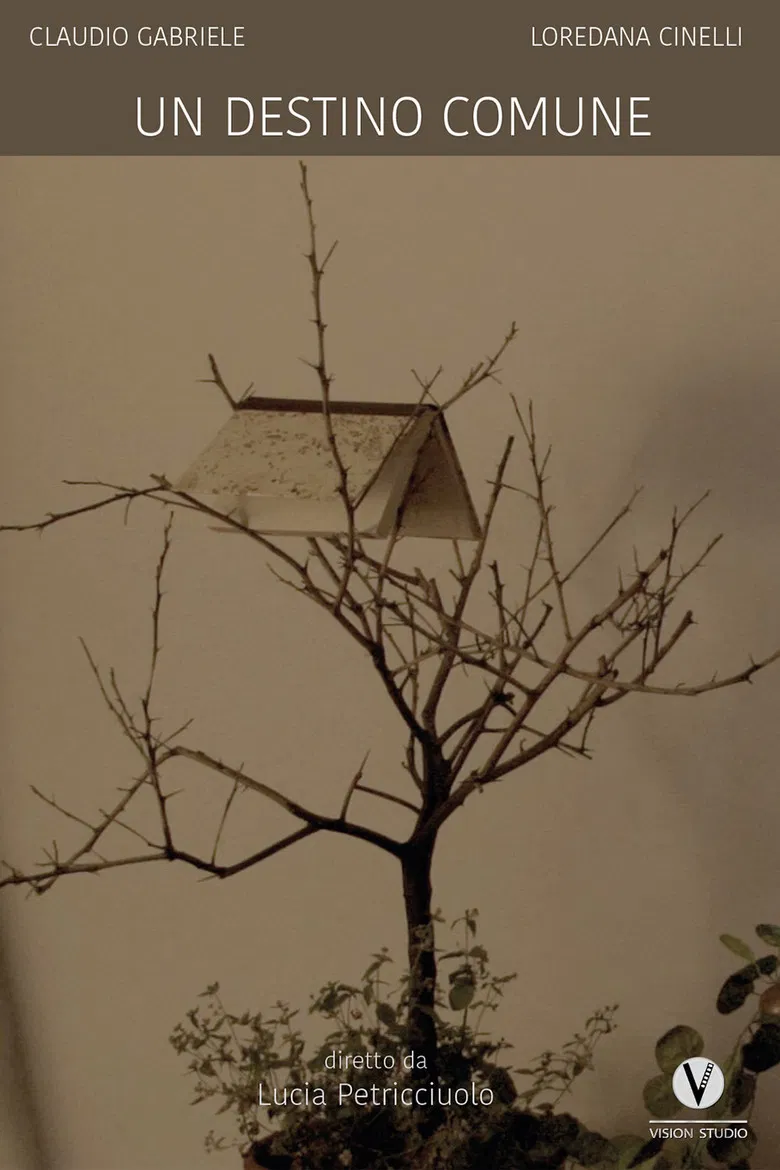 Un destino comune poster background