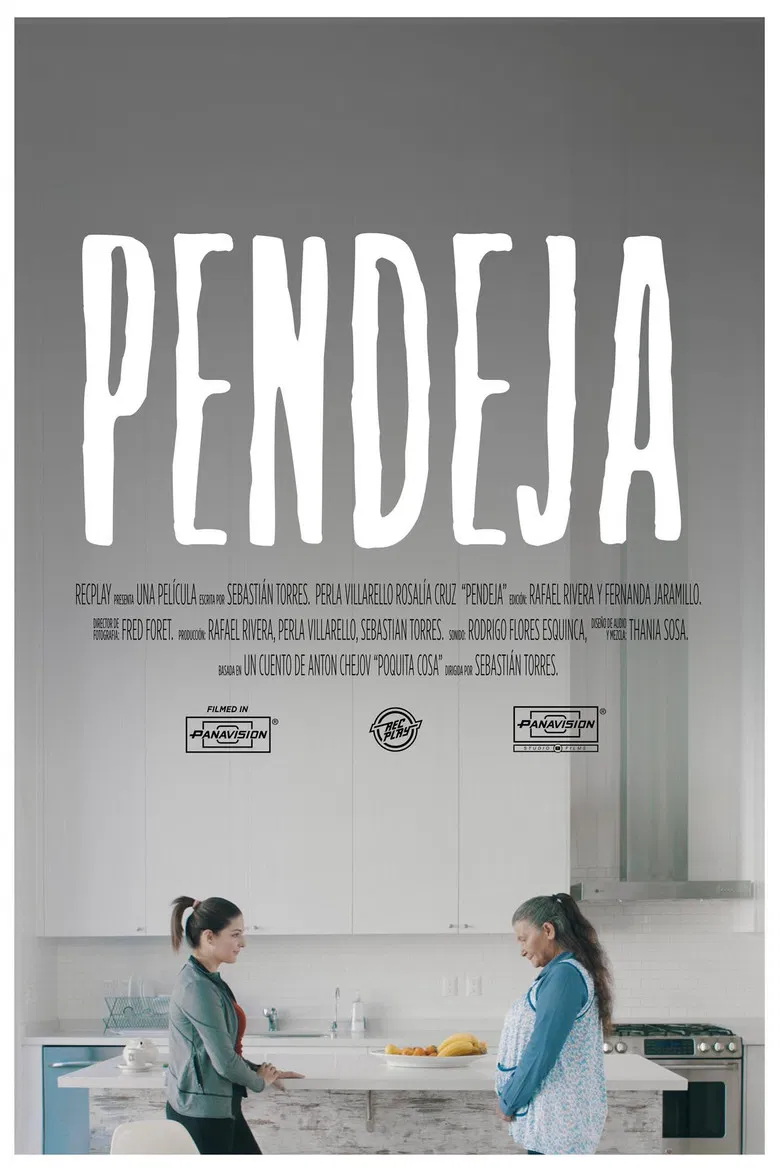 Pendeja poster background
